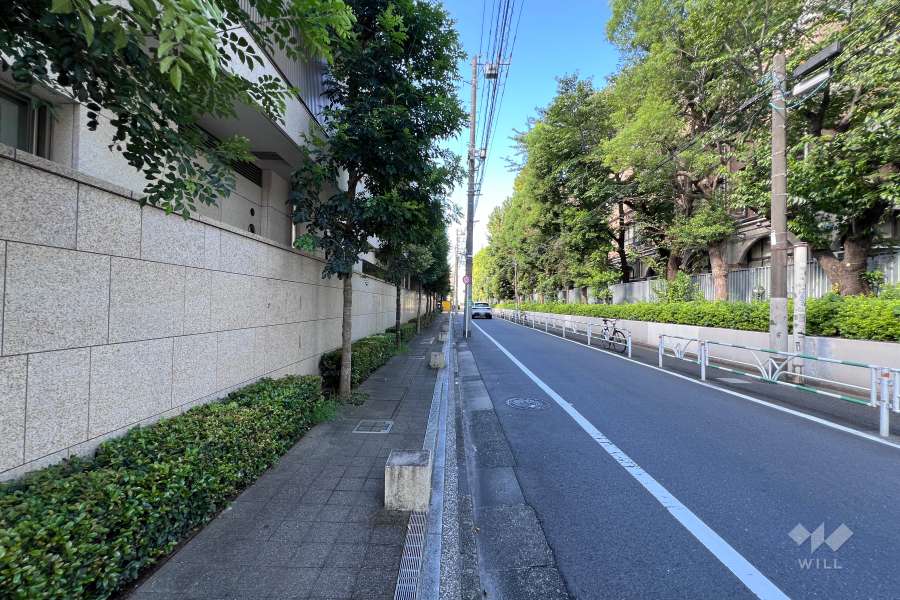 敷地の北西側前面道路（北東側から）