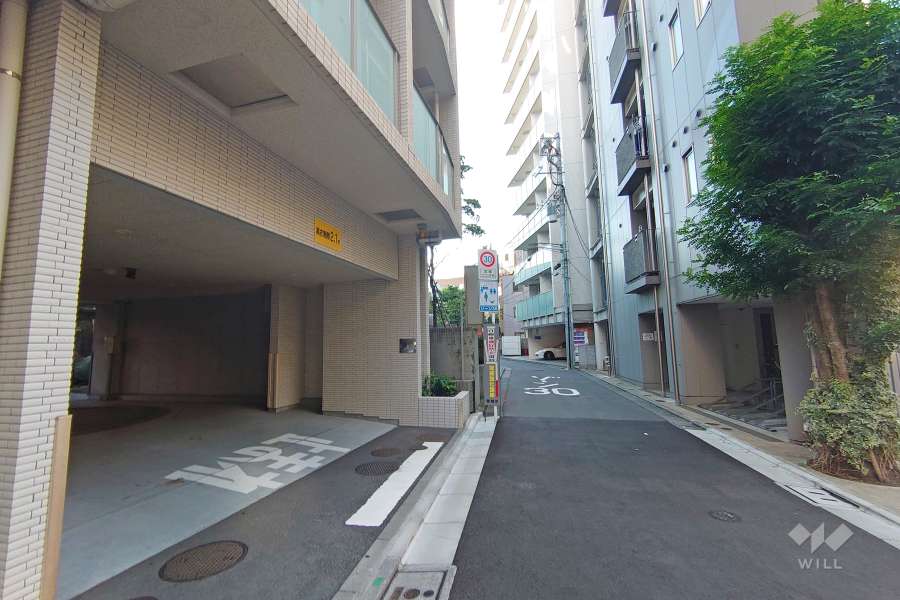 敷地南側の前面道路（西側から）