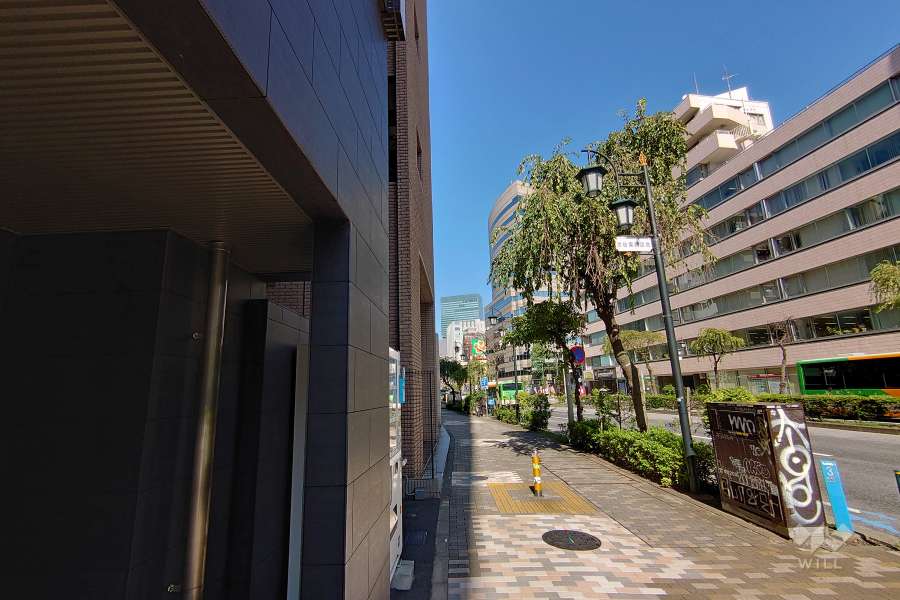 敷地北東側の前面道路（南東側から）