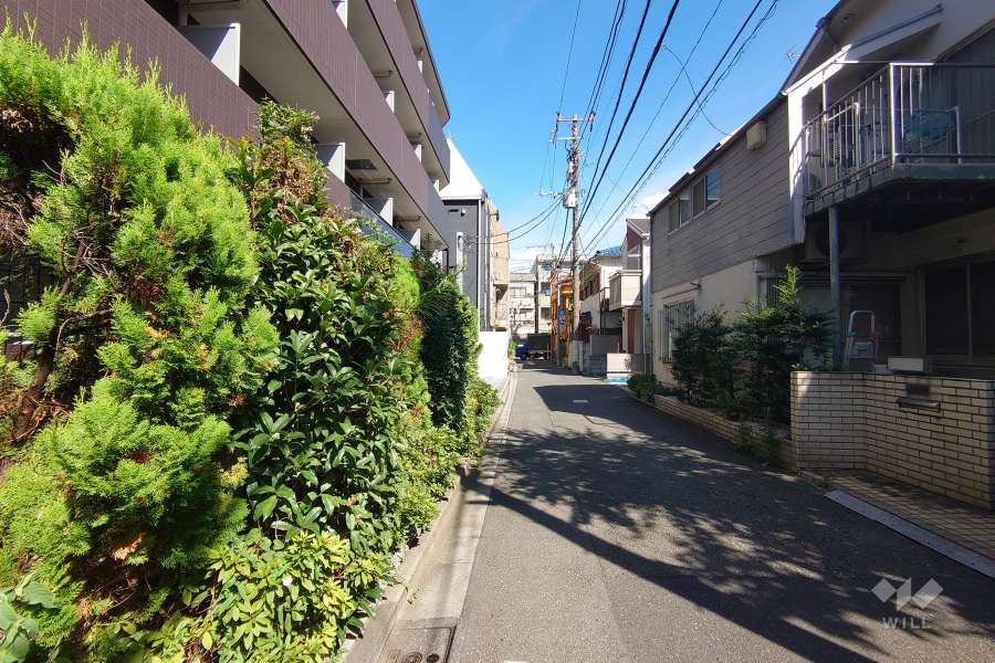 敷地東側の前面道路