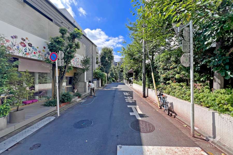 敷地の東側前面道路（北側から）