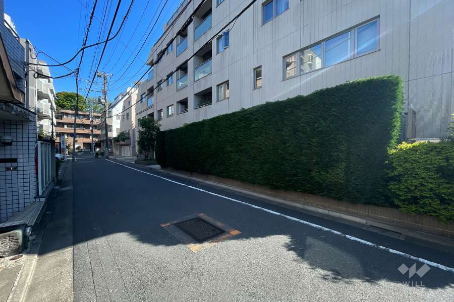 敷地南西側の前面道路（南東側から）