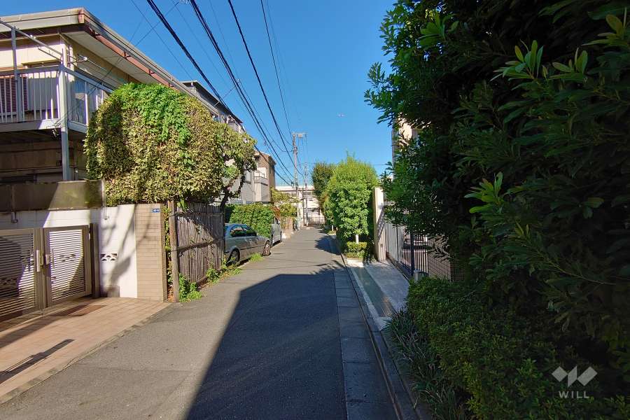 敷地北西側の前面道路（南西側から）