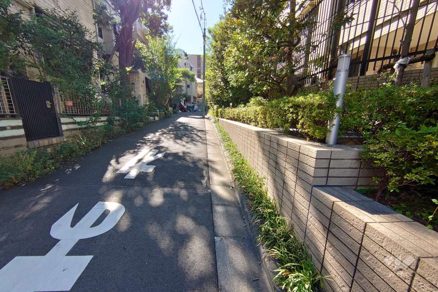 敷地南側の前面道路（東側から）
