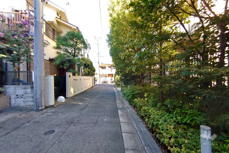 敷地西側の前面道路（南側から）