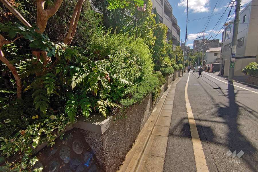 敷地南側の前面道路（北側から）