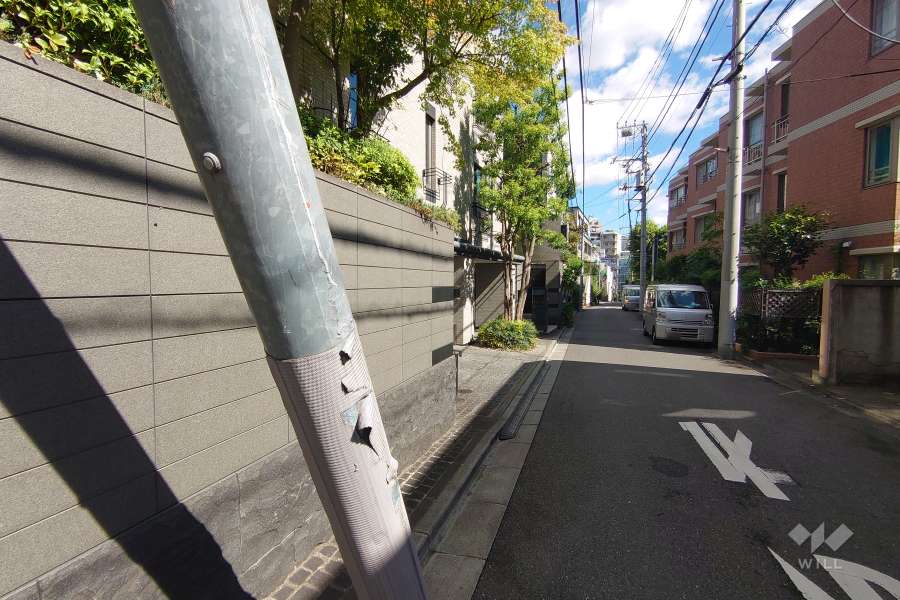 敷地東側の前面道路（南側から）