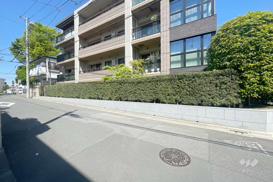 敷地南側の前面道路