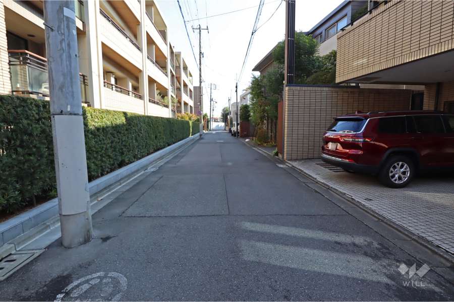 敷地南側の前面道路（西側から）