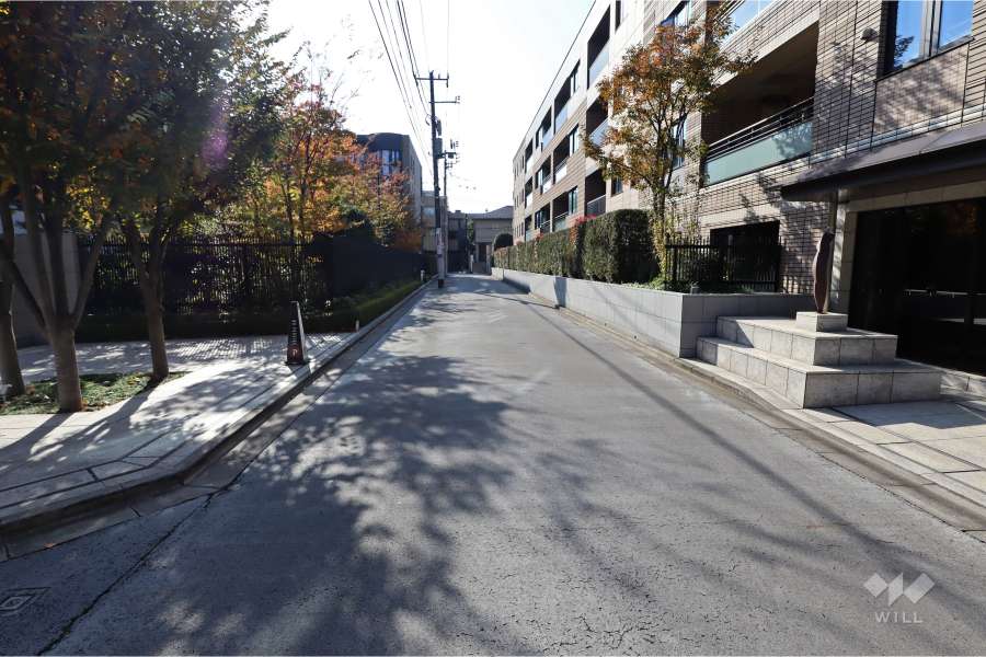 敷地西側の前面道路（北側から）