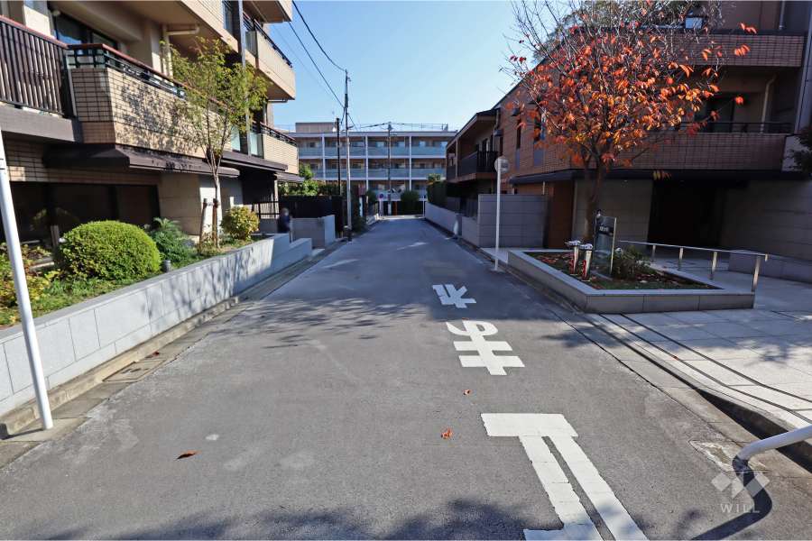 敷地北側の前面道路（西側から）
