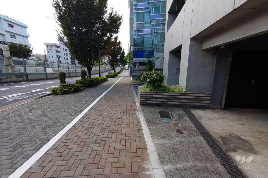 敷地東側の前面道路（北側から）