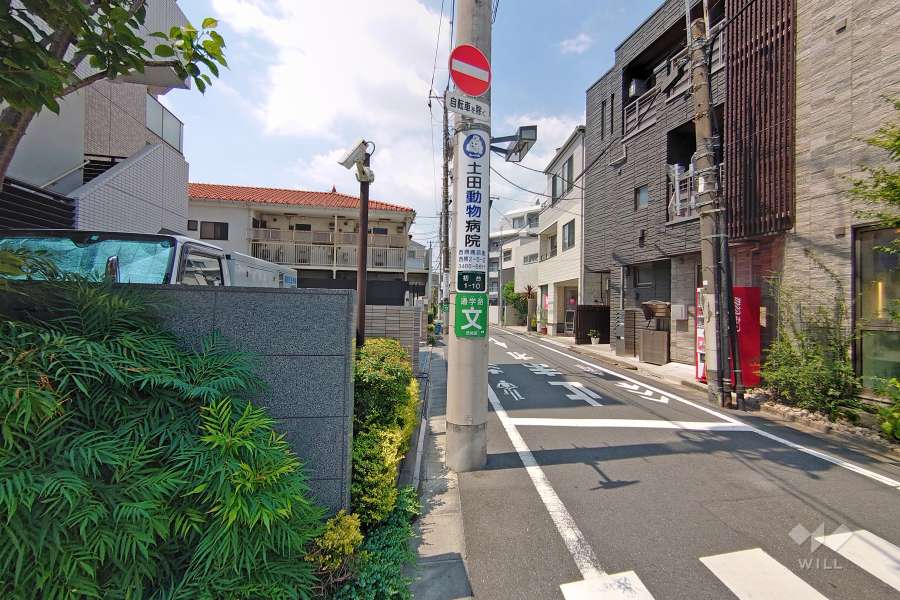 敷地北側の前面道路（西側から）