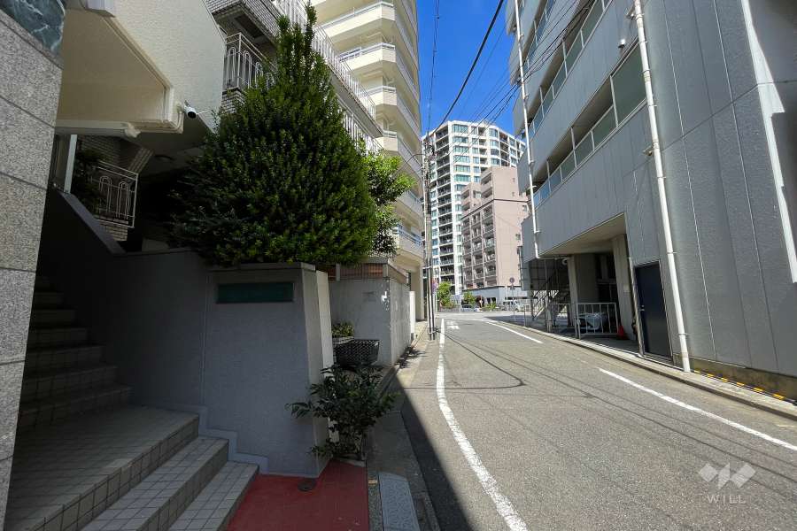 敷地北東側の道路（南東側から）