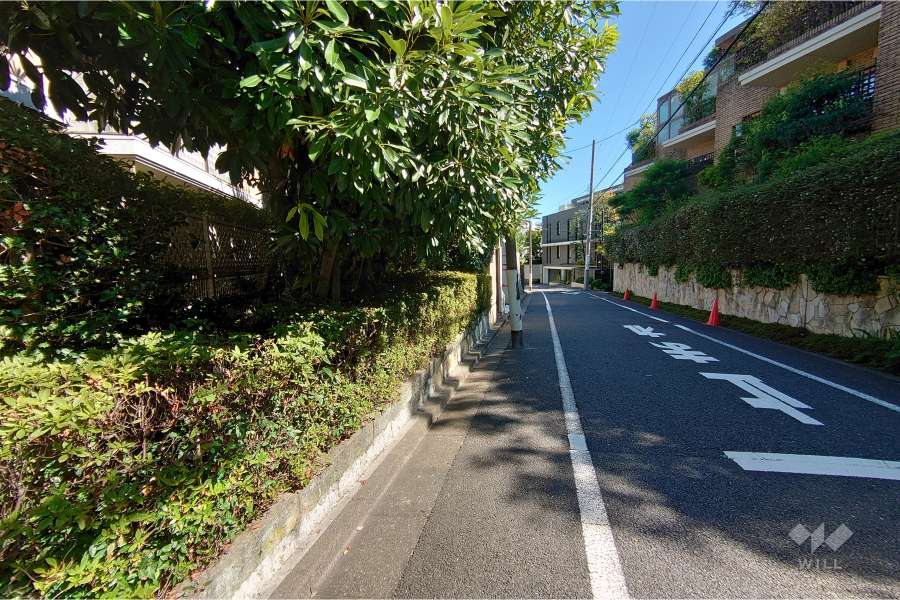 敷地南西側の前面道路（北西側から）