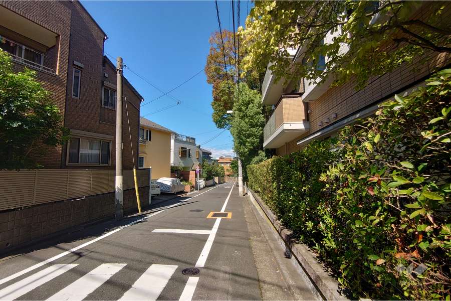 敷地北西側の前面道路（南西側から）