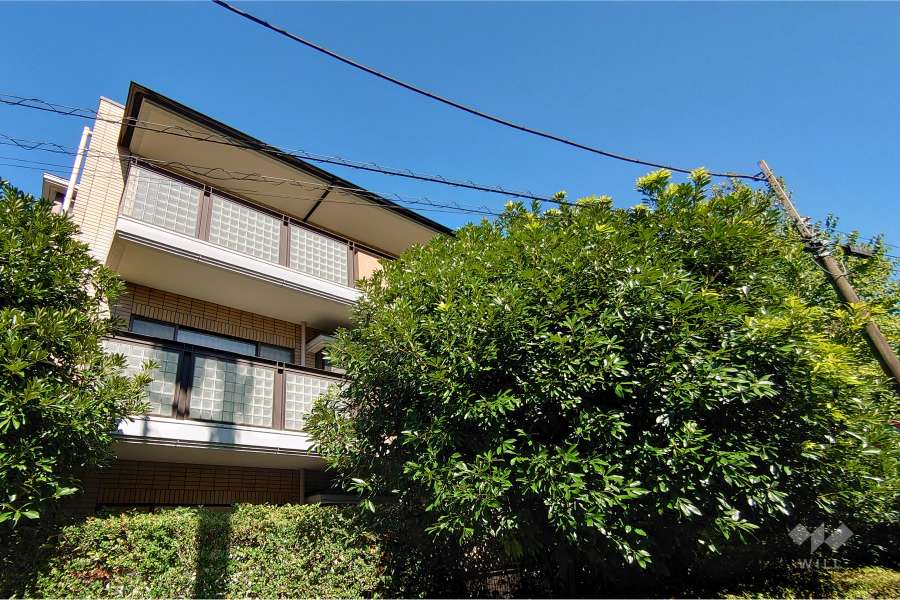 ボアセイズの外観（南西側から）