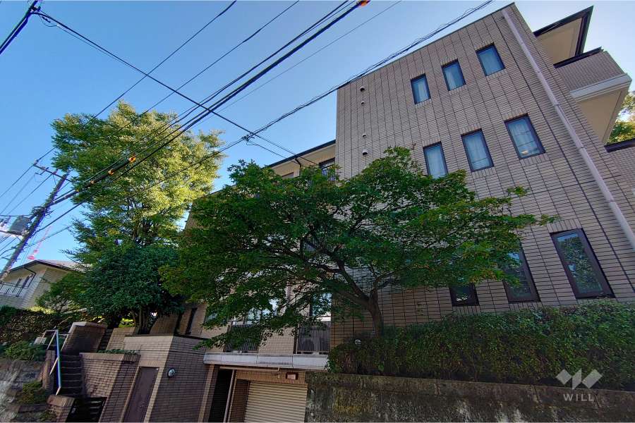 ボアセイズの外観（北西側から）