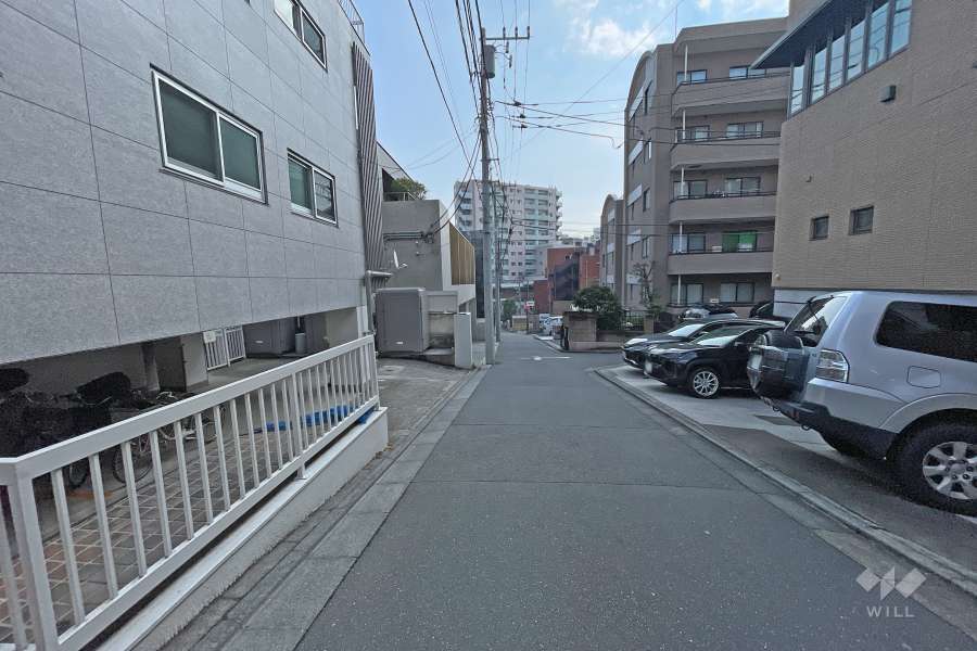 敷地南側の前面道路（西側から）