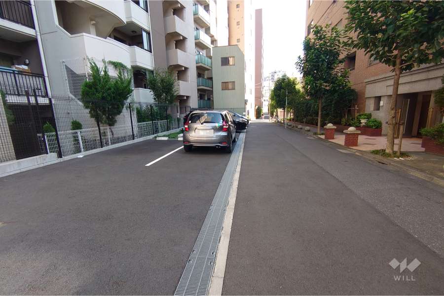 敷地南西側の前面道路（北西側から）