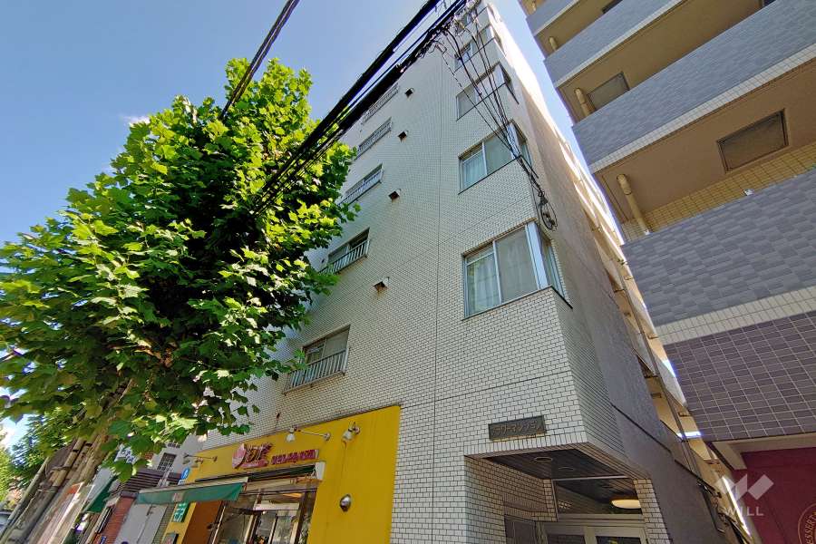『フラワーマンション（渋谷区）』の外観（北西側から）