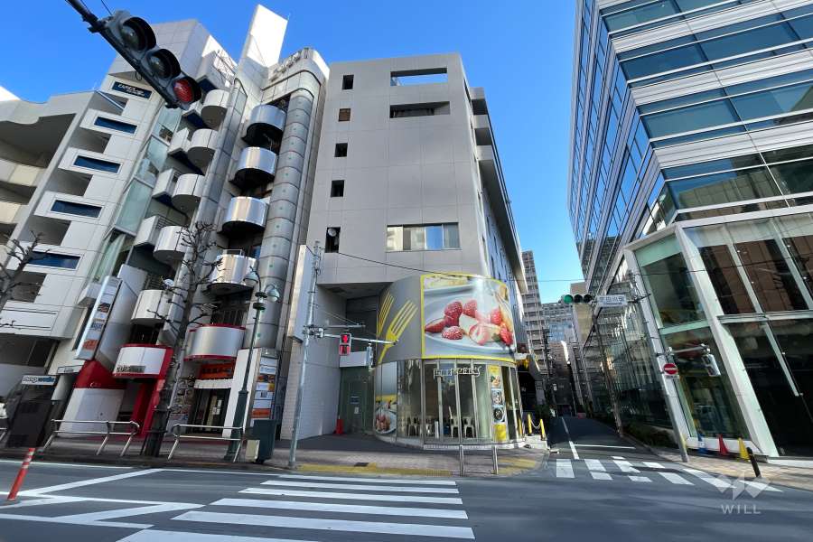 敷地南西側と南側の前面道路(南西側から)