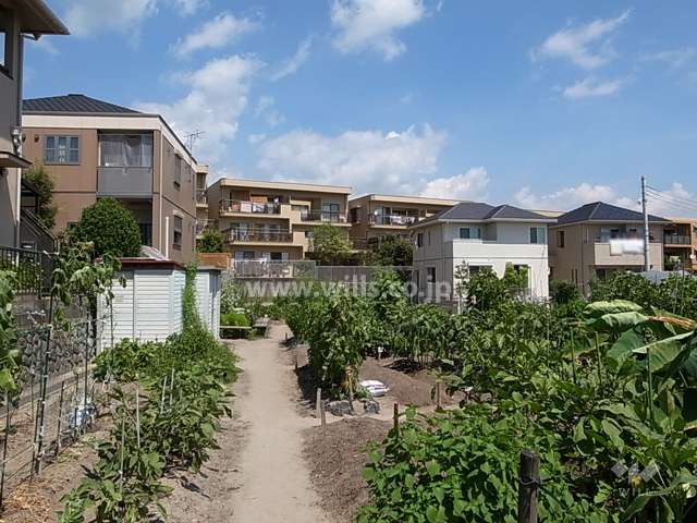 敷地の南側には一戸建てや市民農園などがあります。