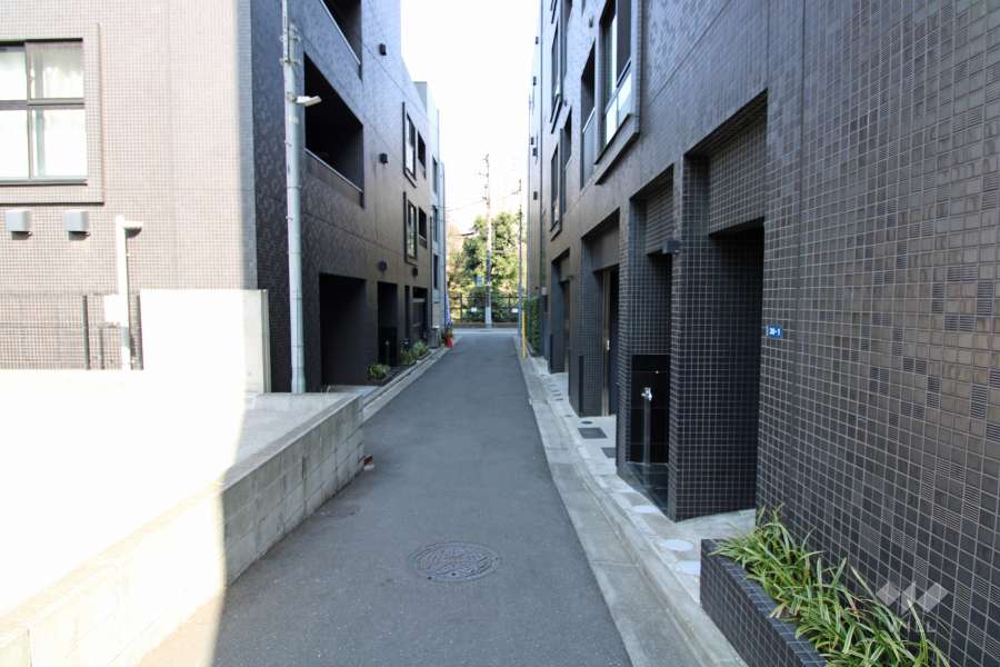 敷地北側の前面道路（西側から）