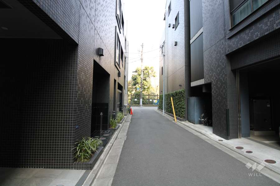 敷地南側の前面道路（西側から）