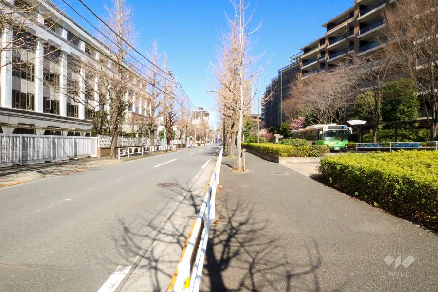 敷地西側の前面道路(南側から)