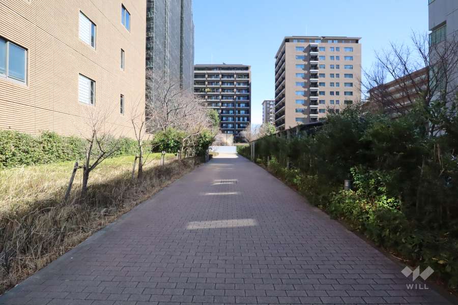 敷地南側の前面通路(西側から)