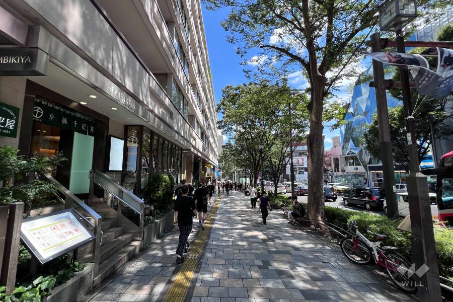 敷地の南西側前面道路（北西側から）