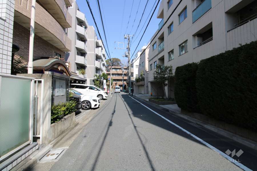 敷地東側の前面道路（南側から）