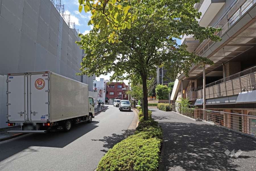 敷地南西側の前面道路（南東側から）