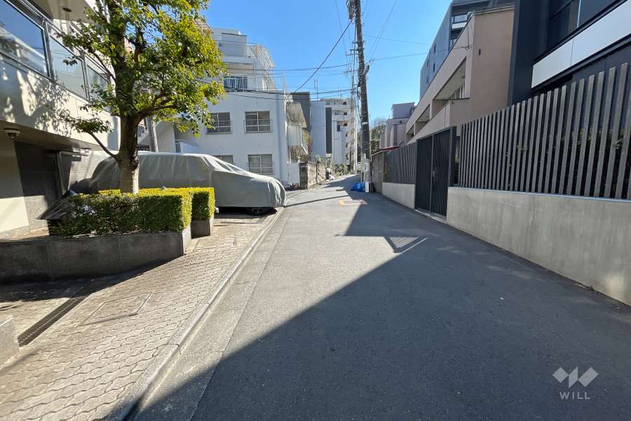 敷地西側の前面道路（北側から）