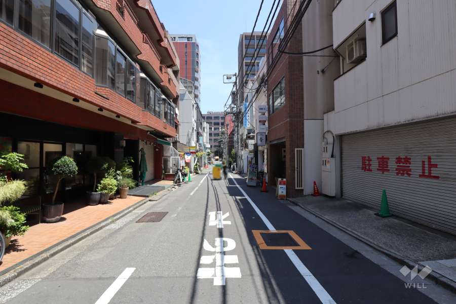 敷地南東側の前面道路（南西側から）