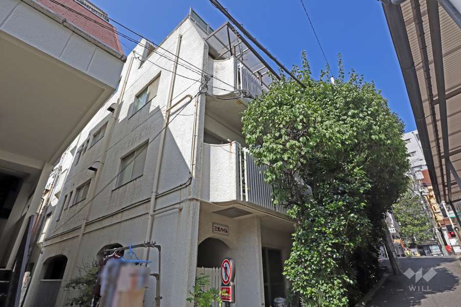 三光ハイムの外観(南西側から)