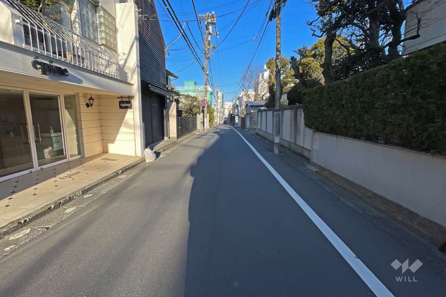 敷地北東側の前面道路（南東側から）