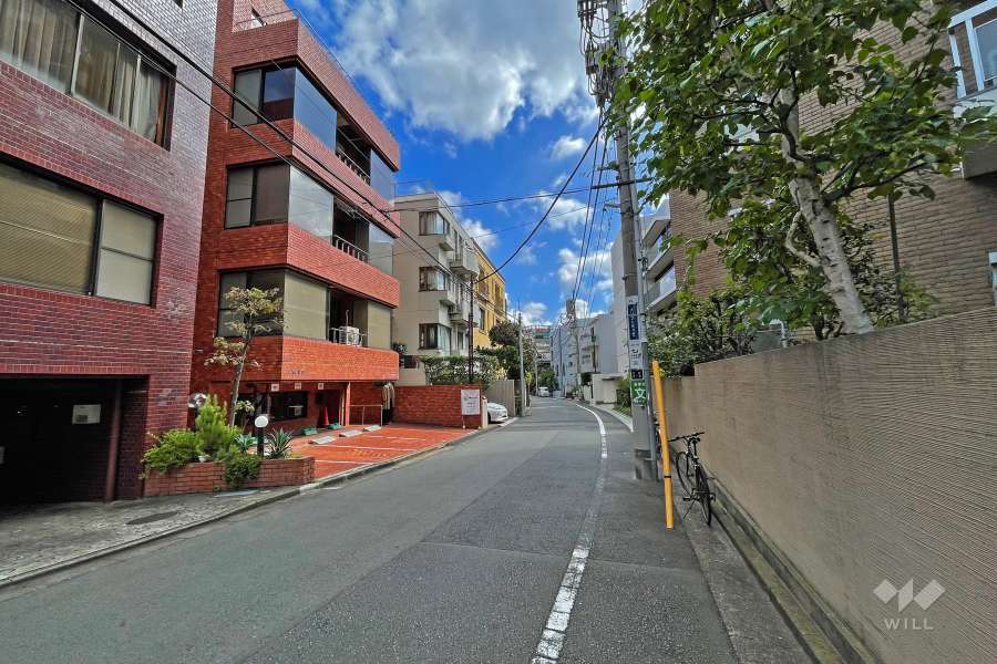 敷地の西側前面道路（北側から）