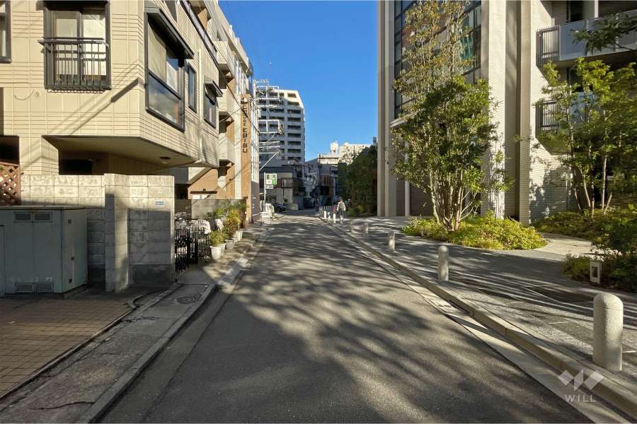敷地西側の前面道路（南側から）