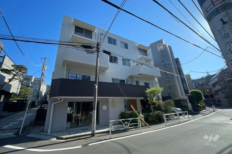 岩井ビル（元代々木町）の外観（南西側から）