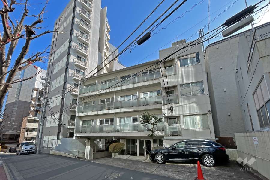 桜丘アーバンライフＢ棟の遠景