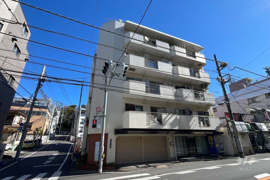 マンションの外観（西側から）