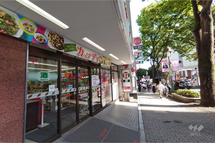 敷地南東側の前面道路（南西側から）