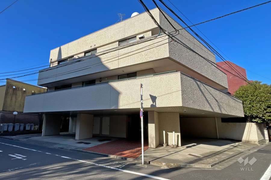 フラットグリーンの外観（東側から）