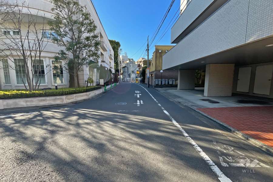 敷地東側の前面道路（北側から）
