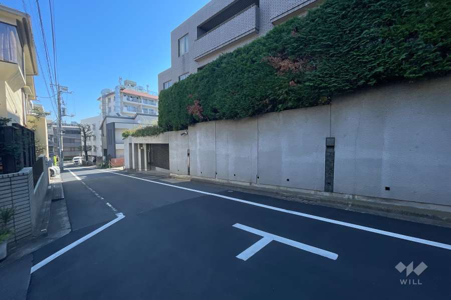 敷地北西側の前面道路（南西側から）