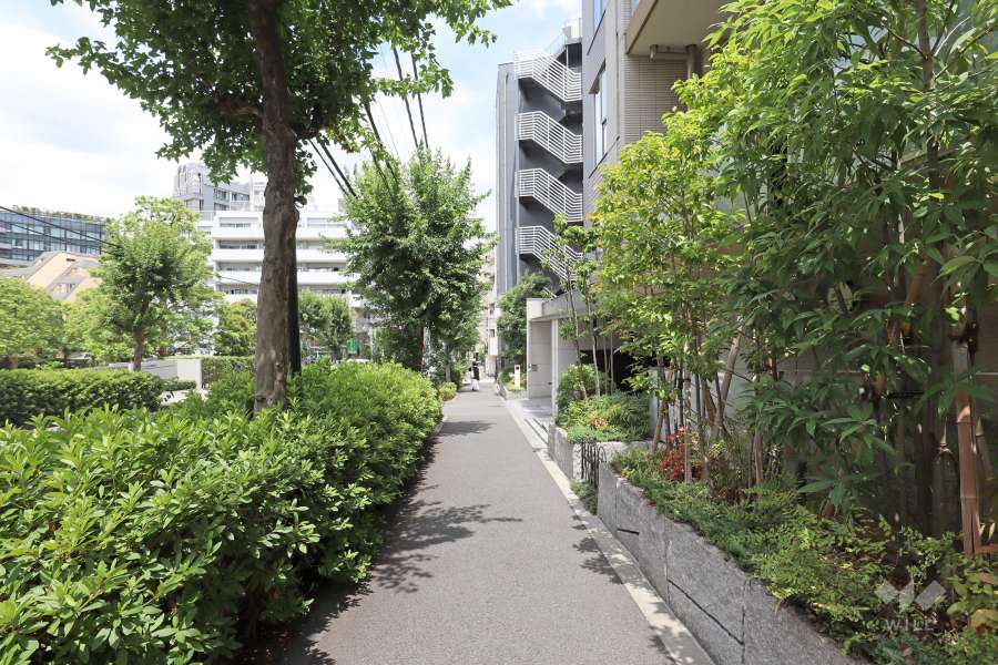 プラウド恵比寿南の南西側前面道路(南東側から)