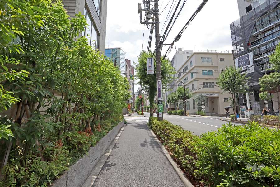 プラウド恵比寿南の南西側前面道路(北西側から)
