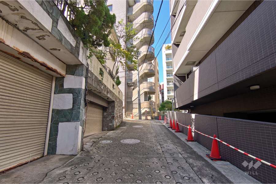 敷地南側の前面道路（東側から）